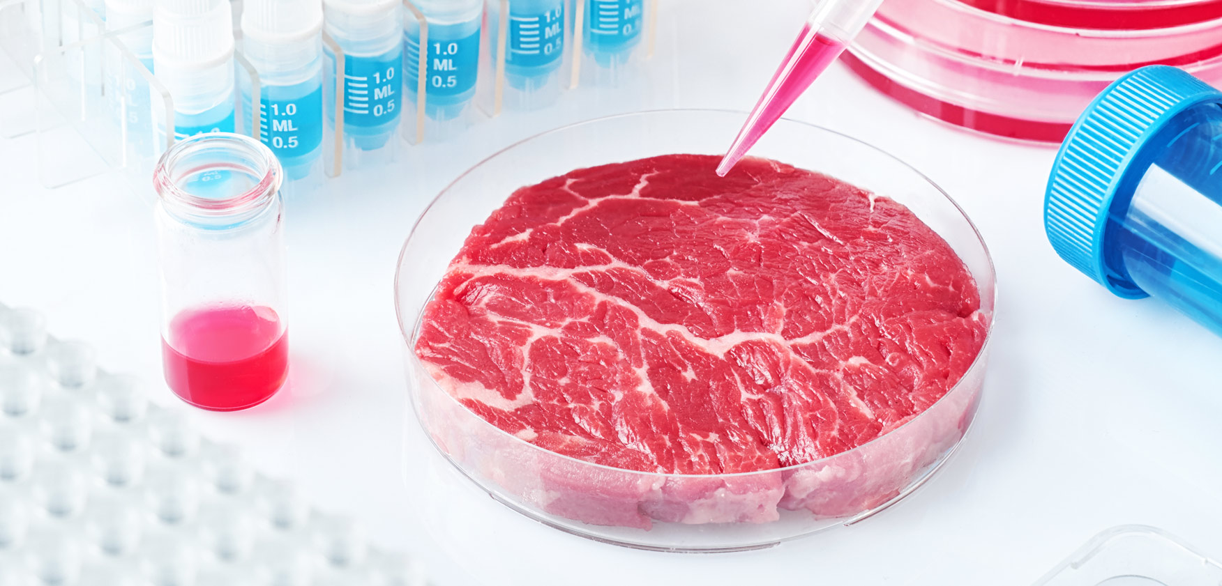 Cultured Meats: Who, How and When? - Midan
