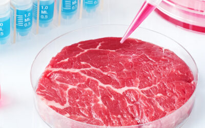 Cultured Meats: Who, How and When?
