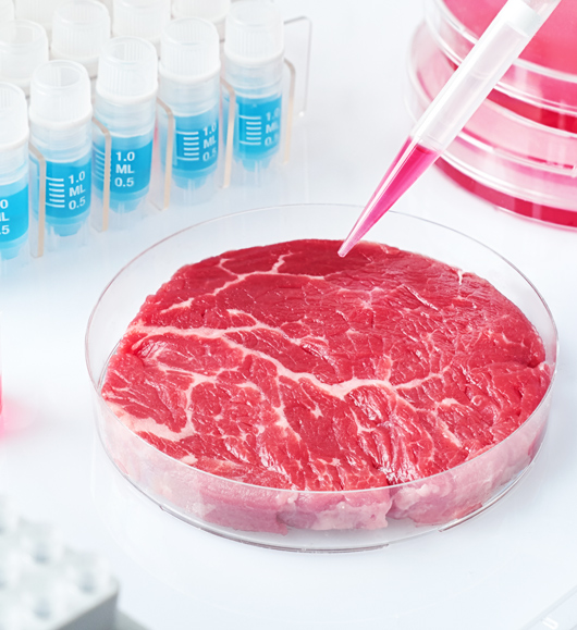 Cultured Meats: Who, How and When?