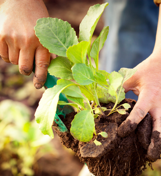 Sustainability: It Has Never Been Just a Buzzword for Ranchers