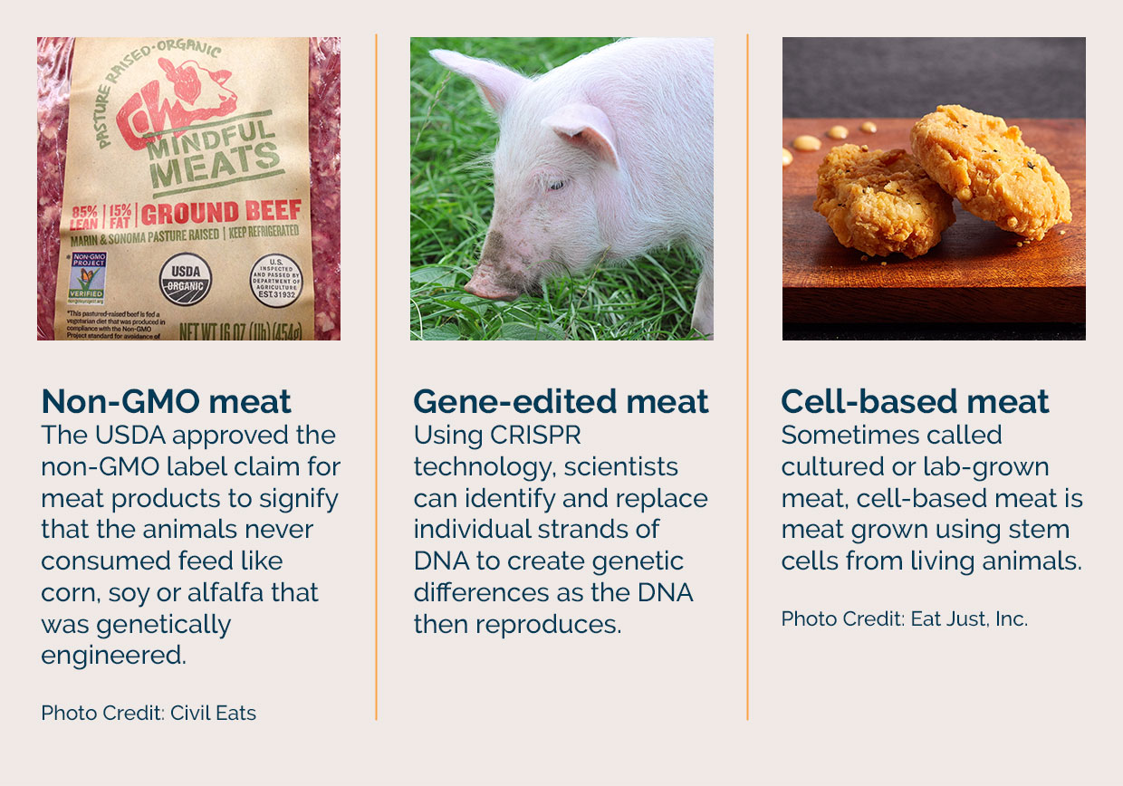 non-gmo meat, gene-edited meat and cell-based meat