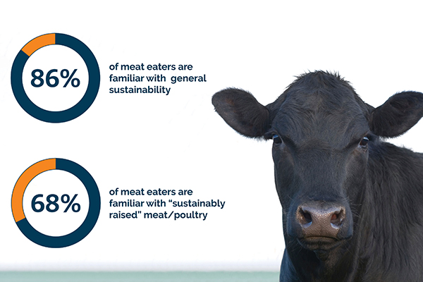 Statistics about sustainability