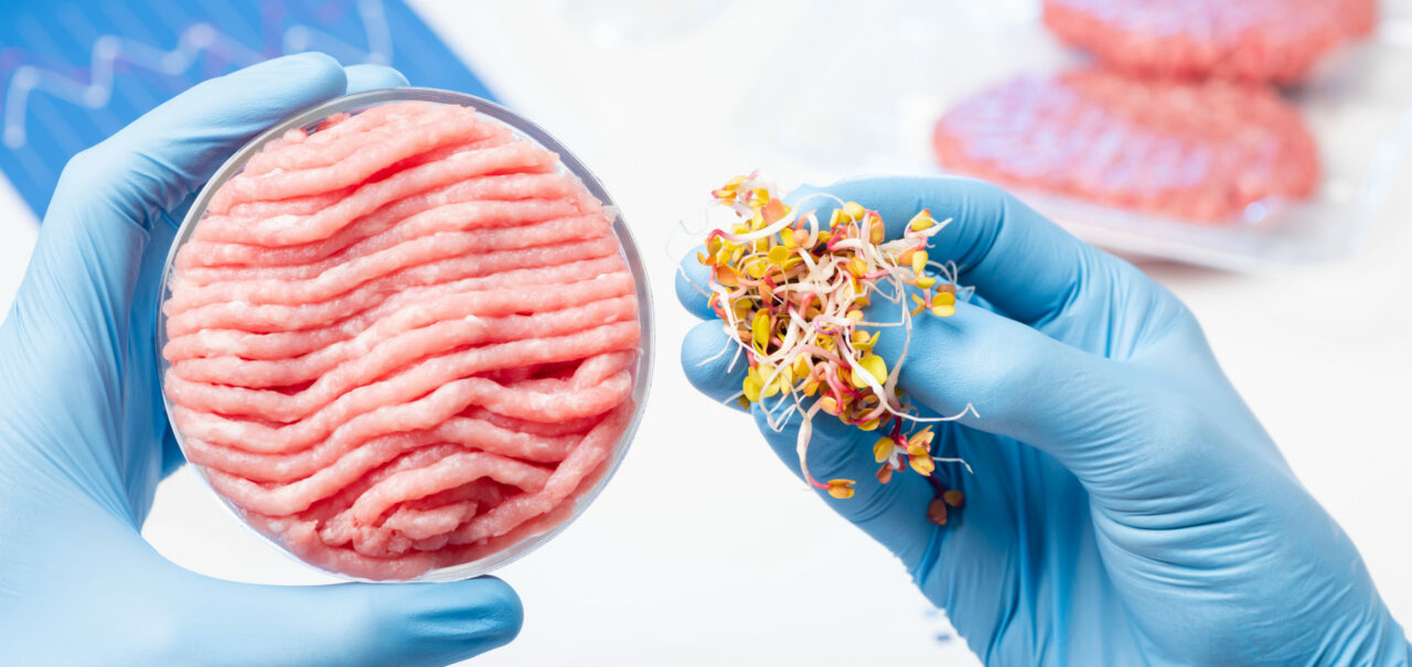 Plantbased Meat Eater Profile Midan Marketing