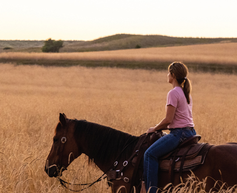 Woman riding a horse through a wheat field