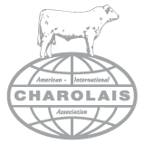 American International Charolais Association logo
