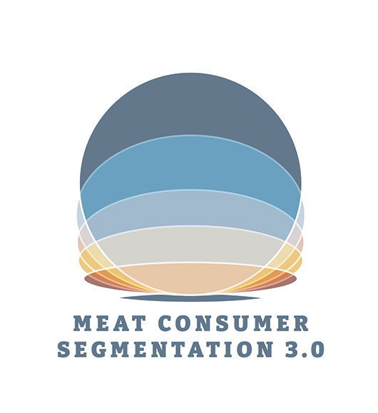 New Consumer Segmentation 3.0 Research