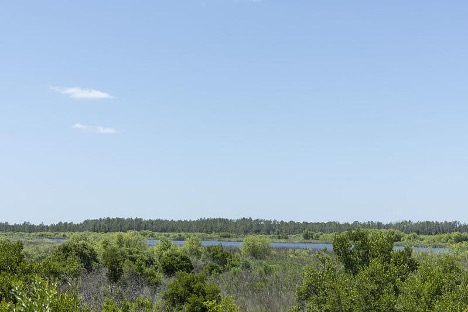 500 acres reclaimed wetland