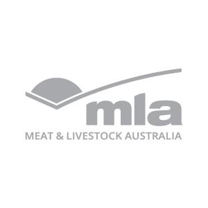 MLA