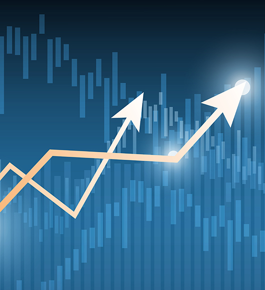 2025 Midyear Trends