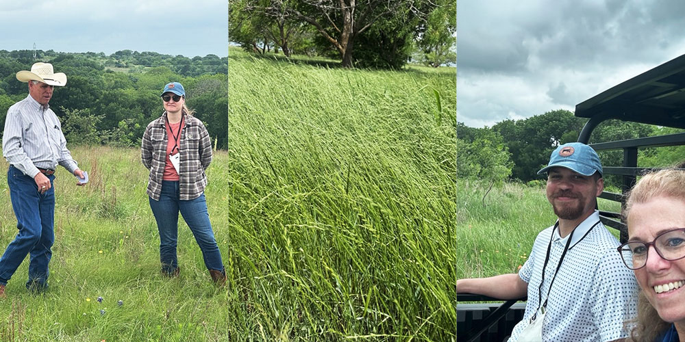 Ranchers in a field, Green grasses, Midan’s Danette Amstein
