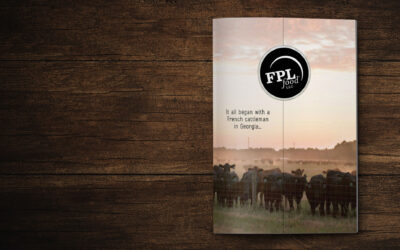 Brand Identity: Châtel Farms®