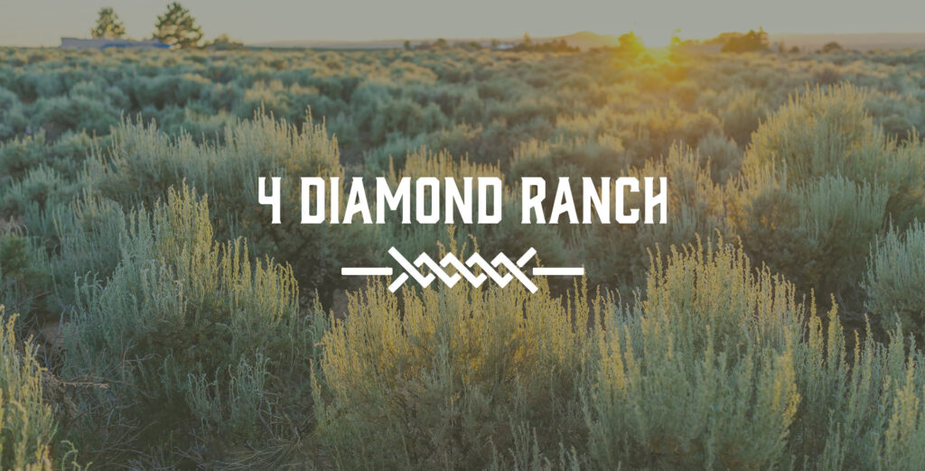 4 Diamond Ranch logo over a prairie field